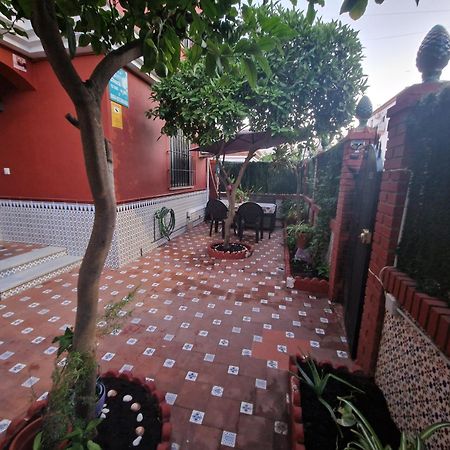Villa Patricia Málaga Dış mekan fotoğraf