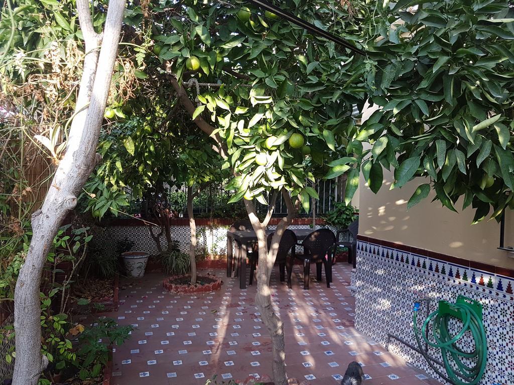 Villa Patricia Málaga Dış mekan fotoğraf